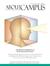 Education Magazines